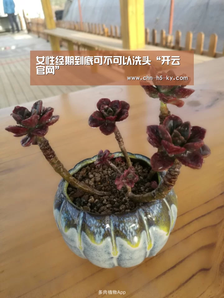 女性经期到底可不可以洗头“开云官网”(图2) 开云体育