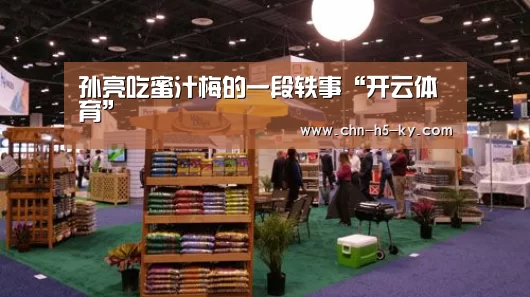 孙亮吃蜜汁梅的一段轶事“开云体育”(图1) 开云官网