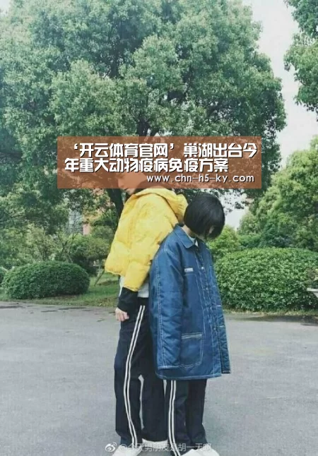 开云体育官网