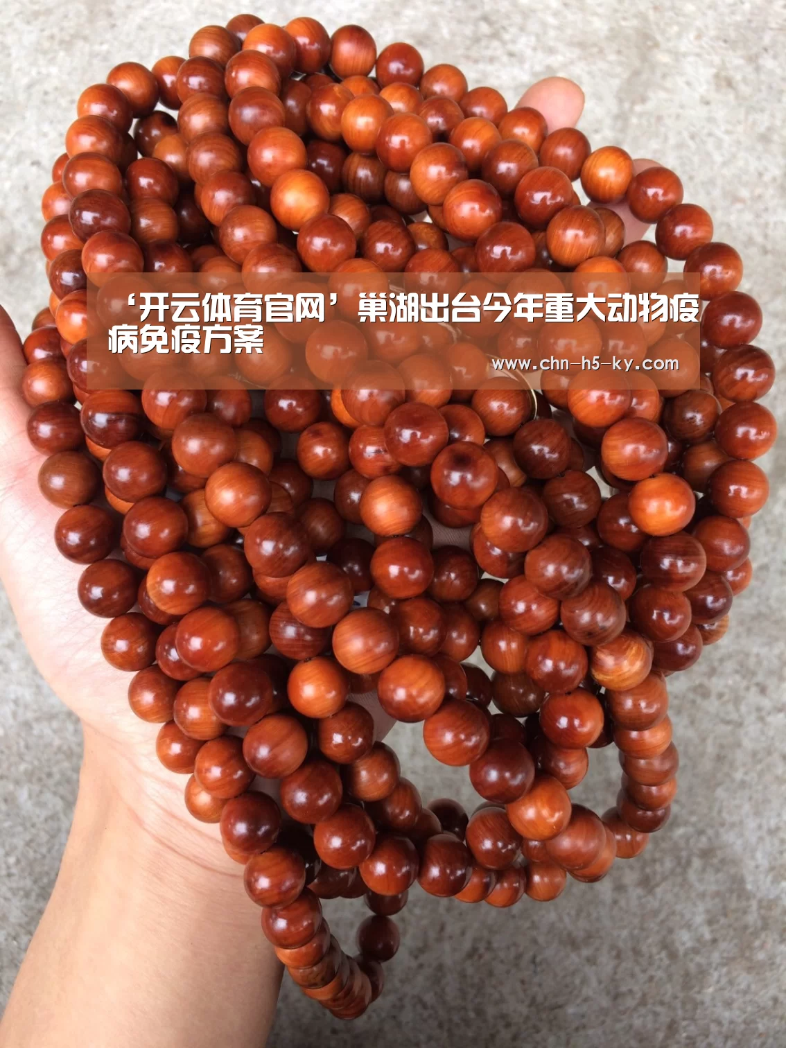 开云体育